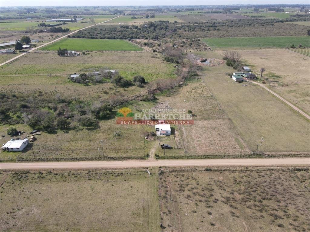 Chacra en venta Los Cerrillos, 1 has con casa de