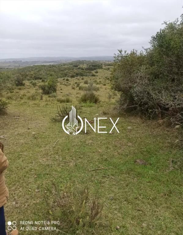 Oportunidad Venta de chacra de 7.8 Hectáreas en