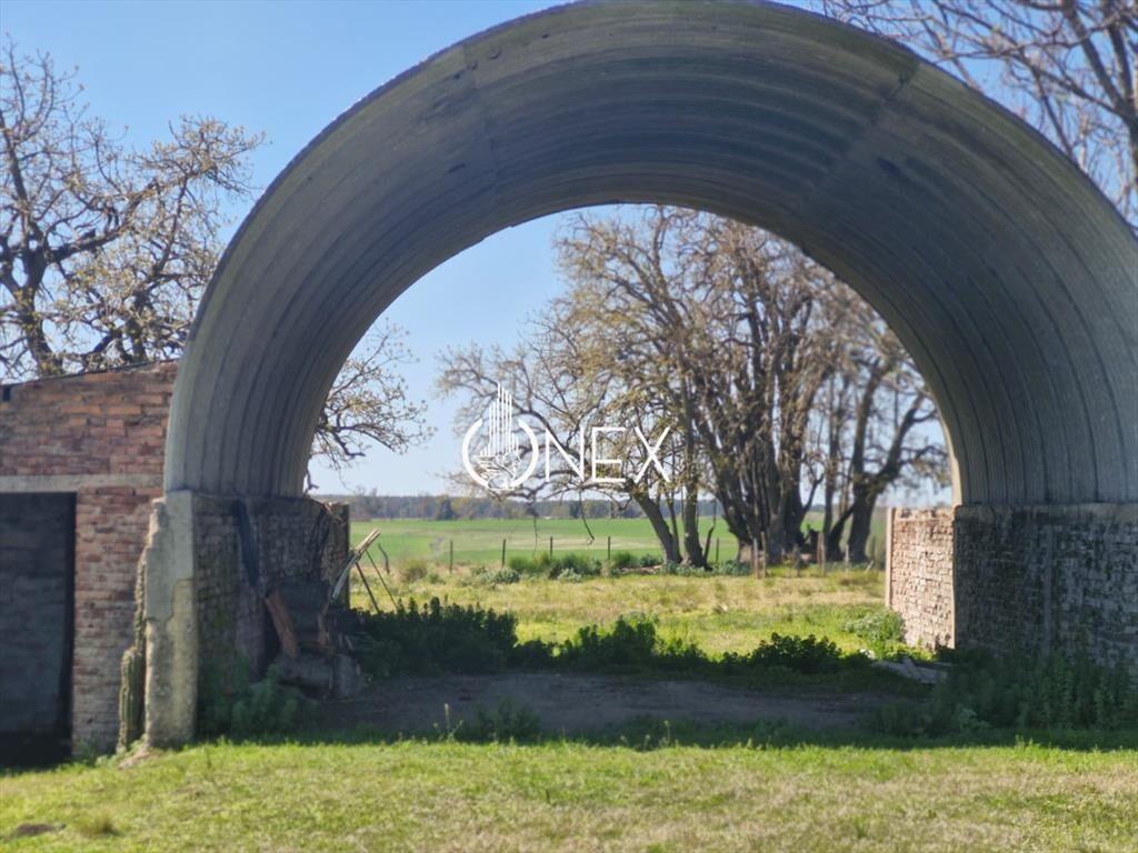 Campo en venta en Arroyo Negro 120 hectáreas