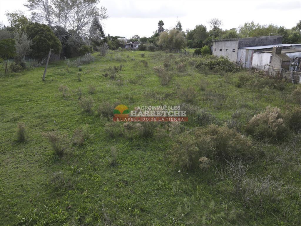 Terreno en Santa Lucia, 4696 m2 con frente a ruta