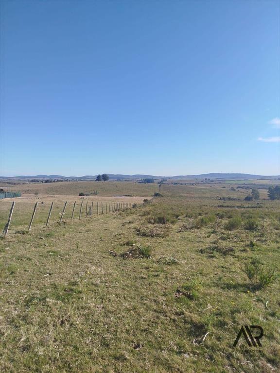 Chacra de 28 hectáreas, con casa y lindera al Arroyo San...