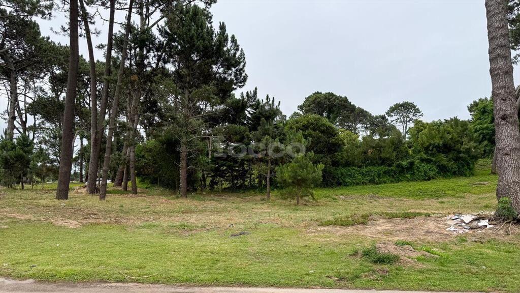 2 TERRENOS CON EXCELENTE UBICACIÓN EN PUNTA DEL ESTE