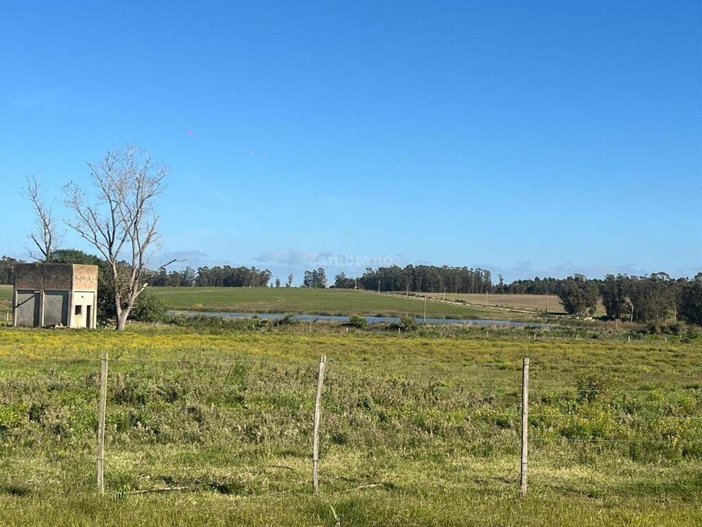 Venta Campo Canelones