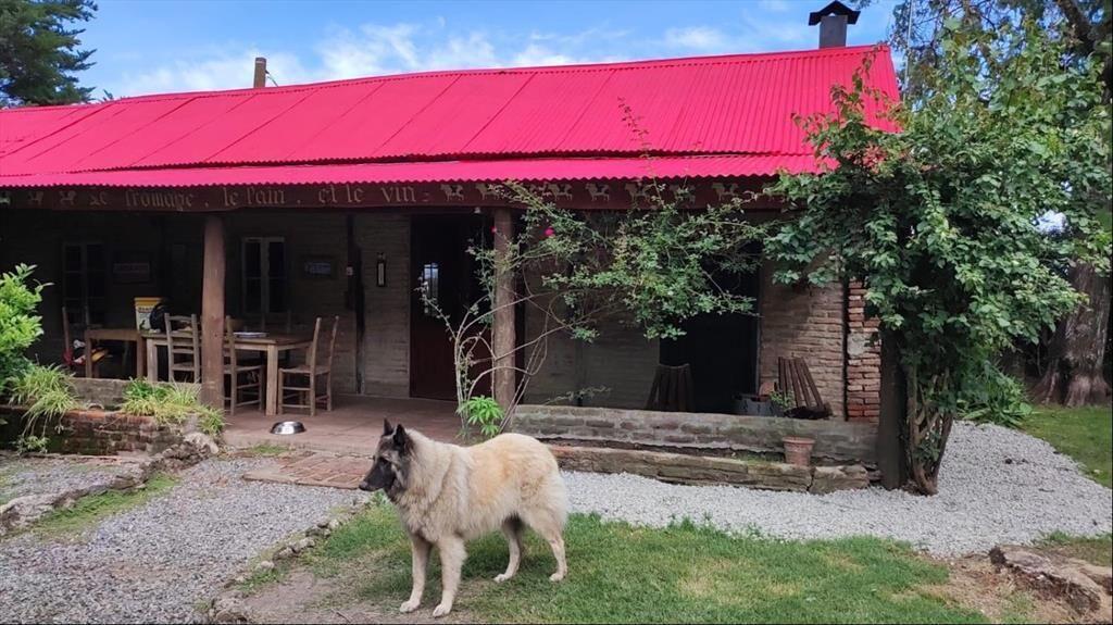 Oportunidad única: chacra de 6 ha con piscina y 6 dormitori