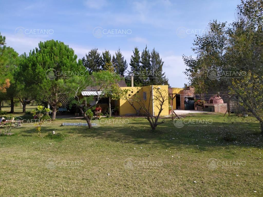 Chacra en oportunidad