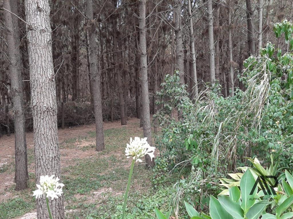 Terreno en venta de 1900m2 ubicado en Solanas