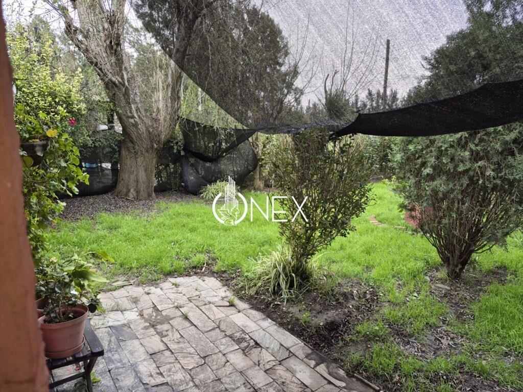 Se vende Casa a reciclar en Pinar Norte