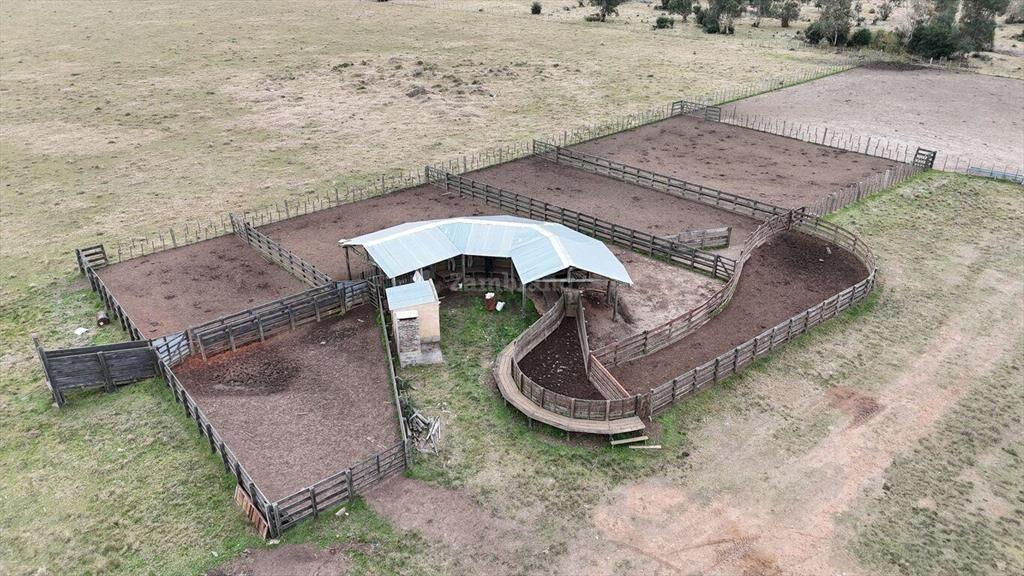 Estancia Ganadera Agrícola 1700 ha en Treinta y Tres