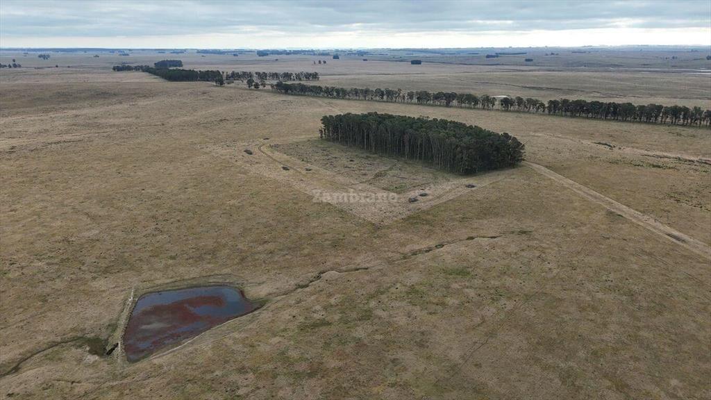 Estancia Ganadera Agrícola 1700 ha en Treinta y Tres
