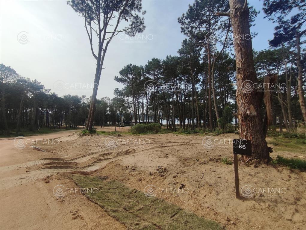 Venta terreno Reserva Montoya, La barra