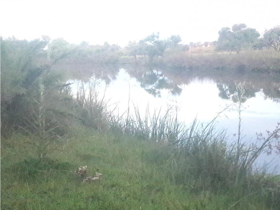 AL1086/P venta campo 53 hectareas en Estacion Solis Minas La