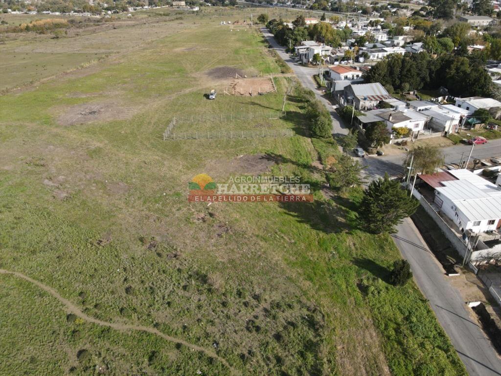 Terreno en Jardín de los Manzanos, Progreso, 690