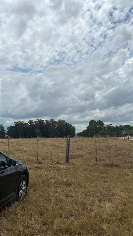 Chacra de 10 ha en venta en Garzón a 15 minutos de José Ign