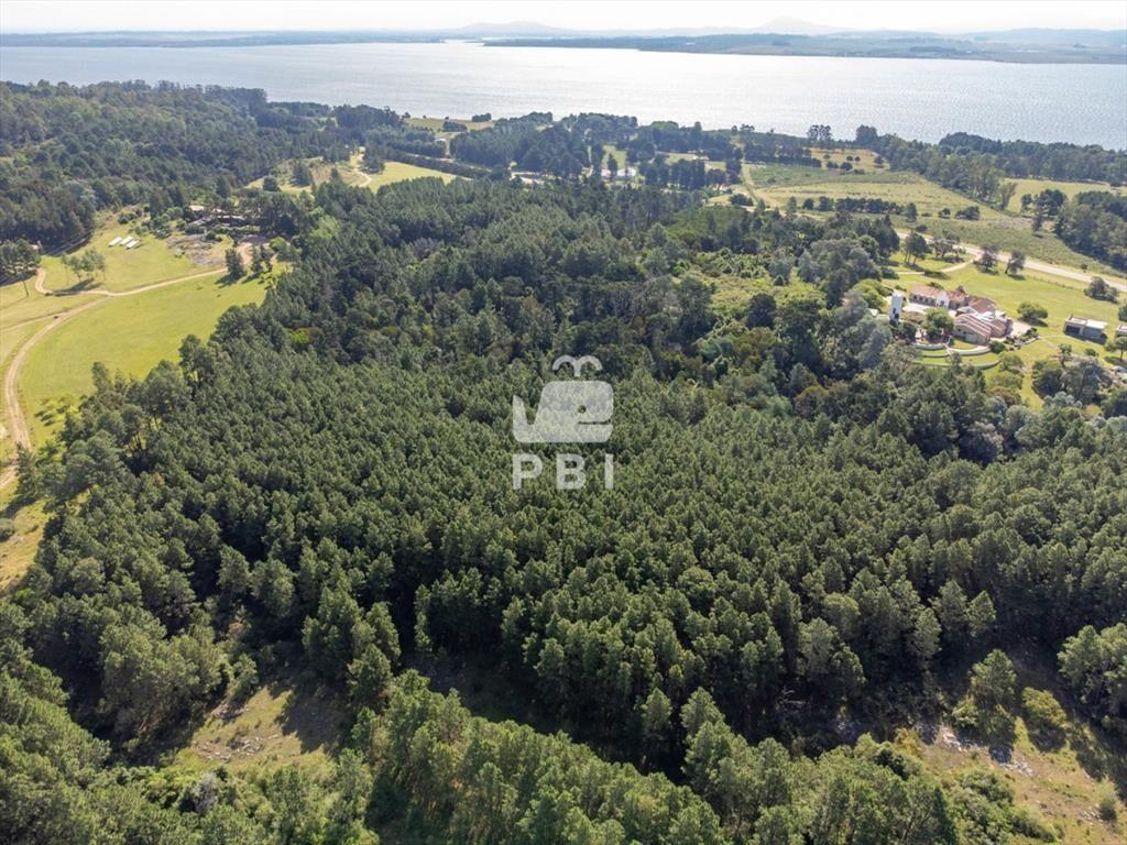 Chacra en venta en Laguna del Sauce, Punta - Ref
