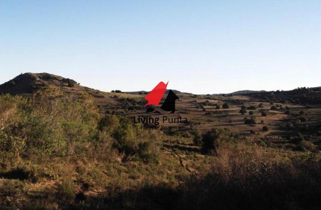 Muy buen campo 100% ganadero en ruta 12
