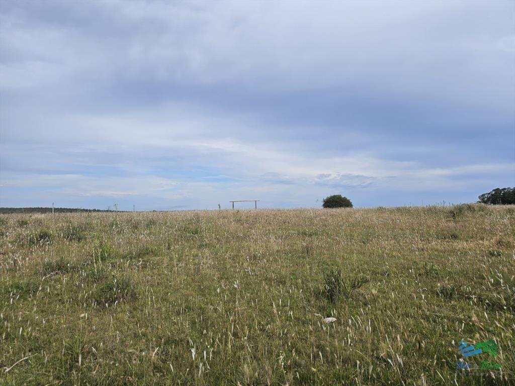 En venta chacra 3 hectareas, proxima ruta 39, a