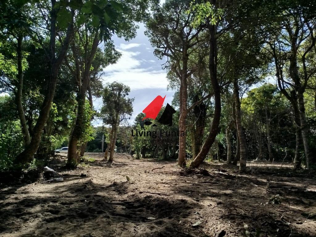 Hermoso terreno