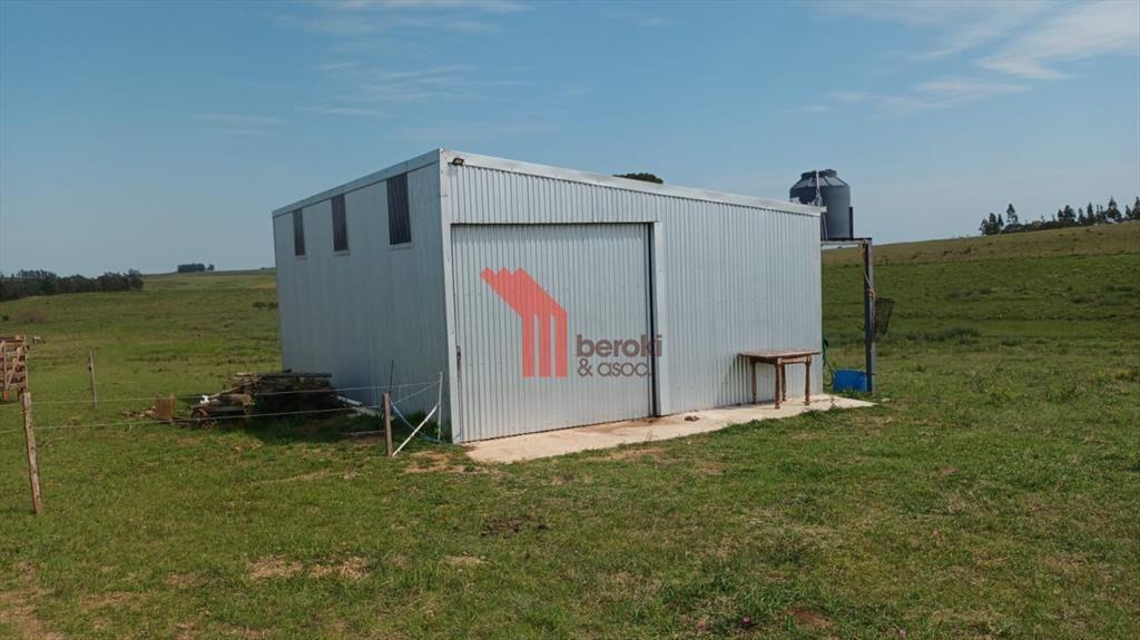 venta campo de 10hs Maldonado, Rincon de Los