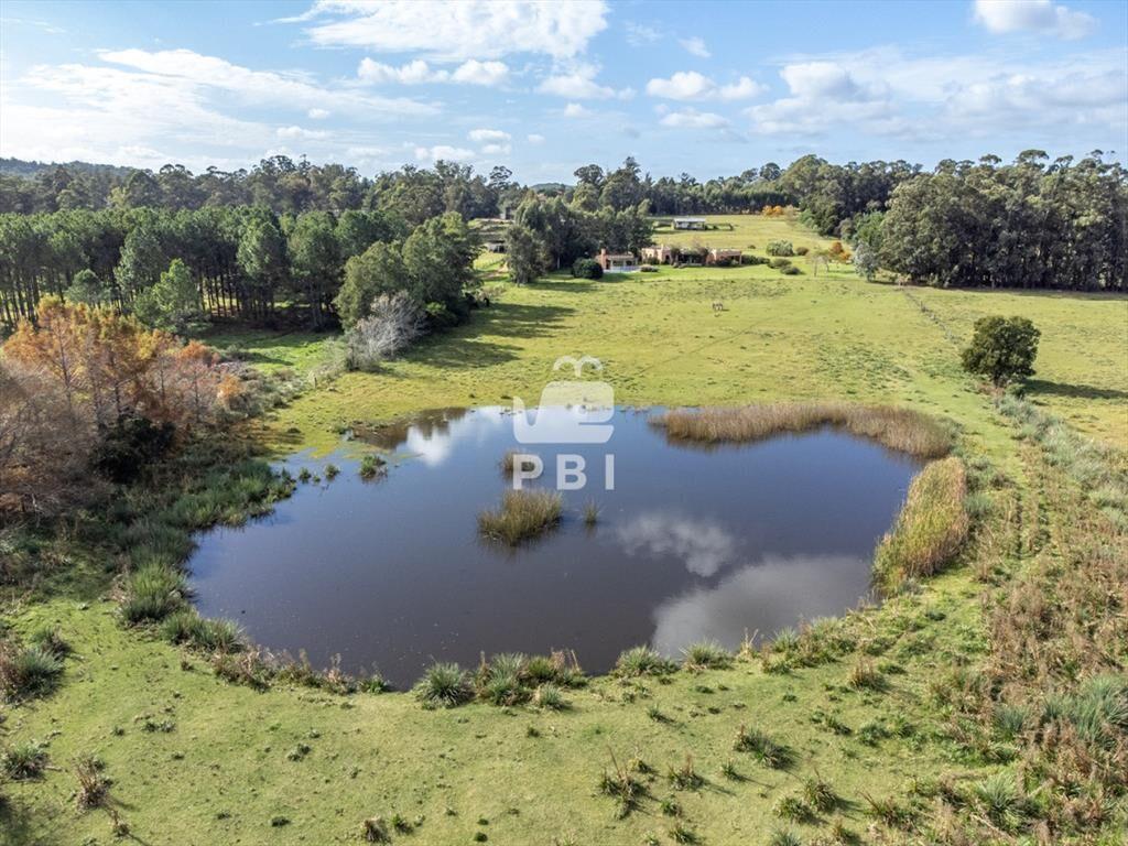 Chacra a la venta en Punta Ballena - Ref :