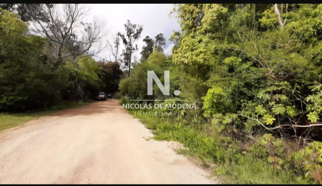 En venta 2 padrones de terreno en Laguna del