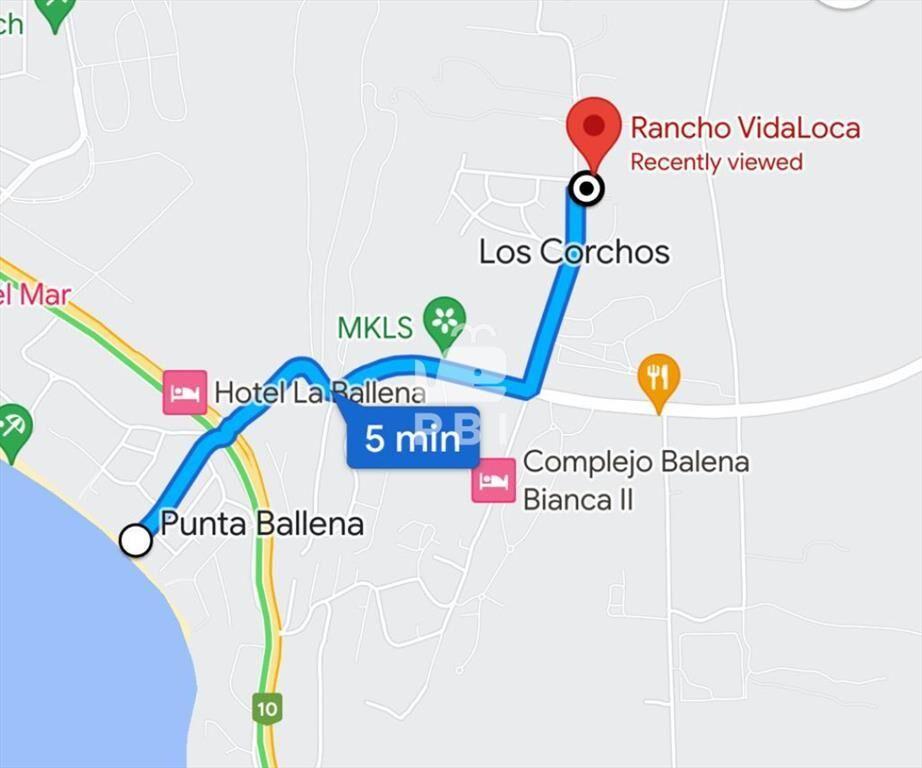 Chacra Vida Loca - Ref : PBI13380