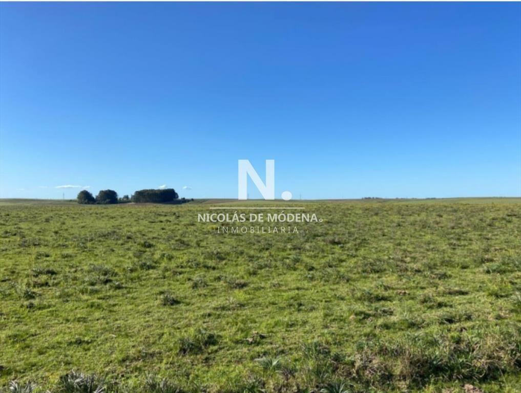 Gran campo en Maldonado