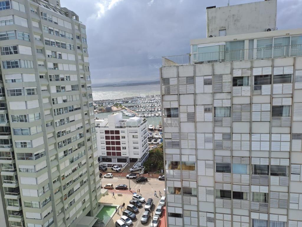 TORRE VAN GOGH