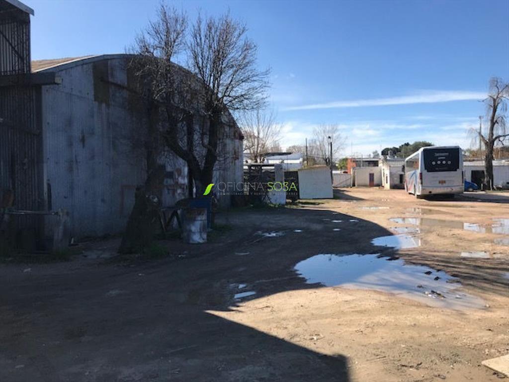 Oficina Sosa - Dos Galpones Y Vivienda En