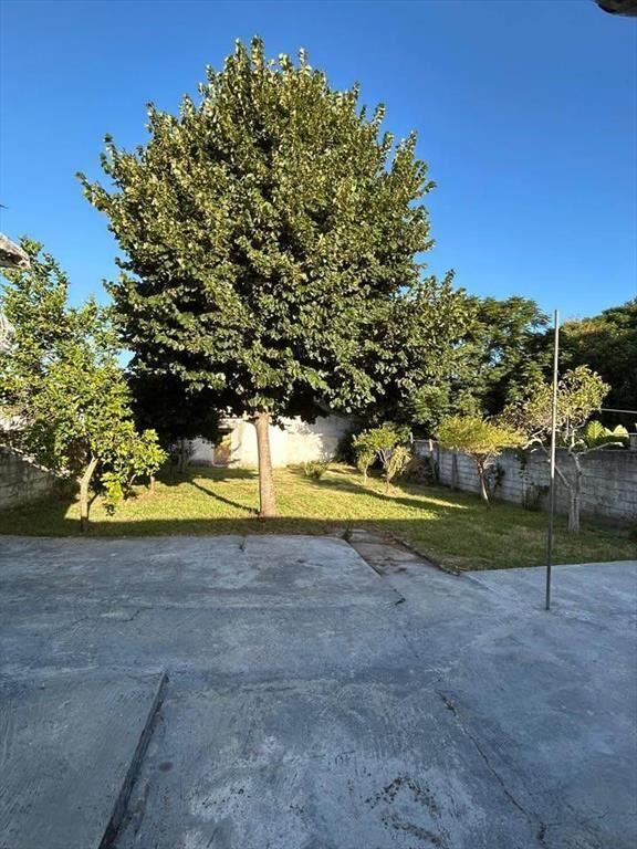 Casa en venta oportunidad padrón unico terreno amplio patio