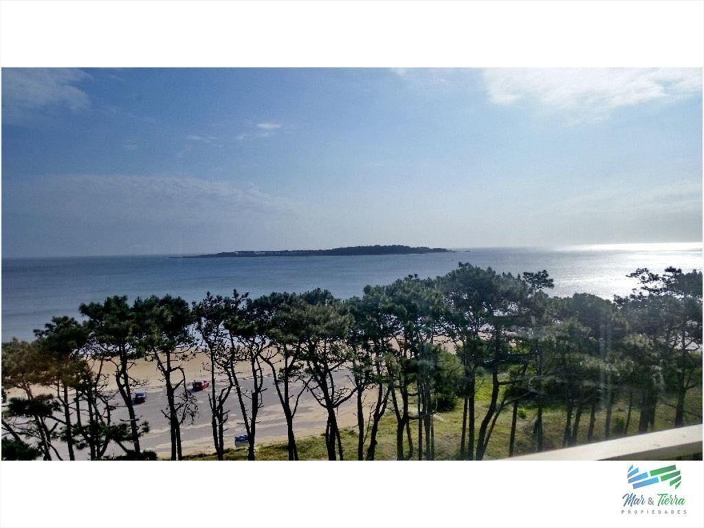 Apartamento en venta y alquiler, primera línea