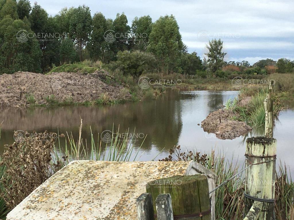 Chacra en La Pataia - Punta Ballena