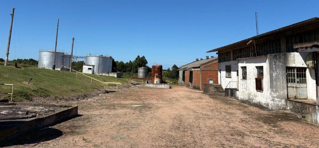 VENTA CHACRA PUNTA YEGUAS 33 HAS