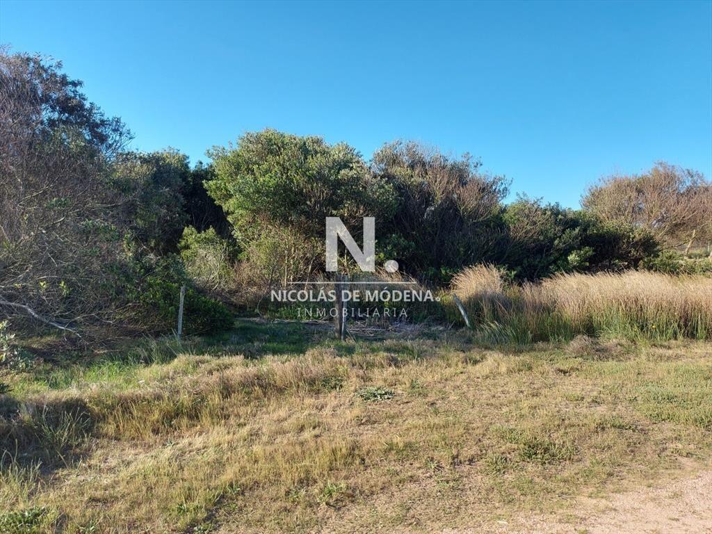 Terreno en venta, La Juanita, José Ignacio