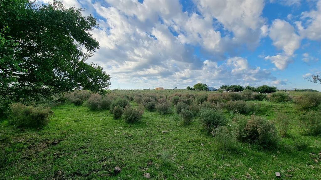 Venta Chacra con casa en Santa Rosa