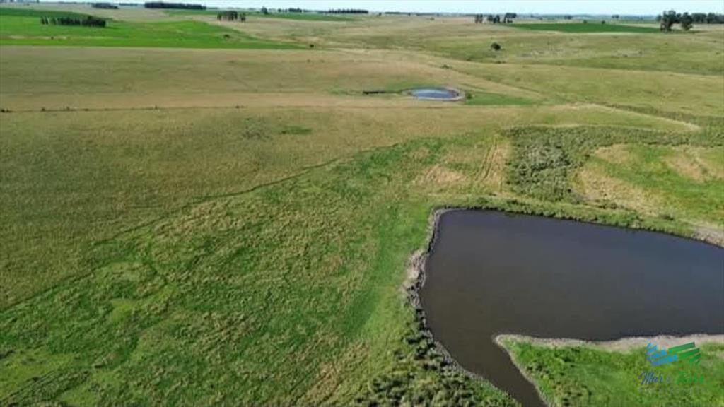 150 Has Campo Agrícola Ganadero a tan solo 10 de