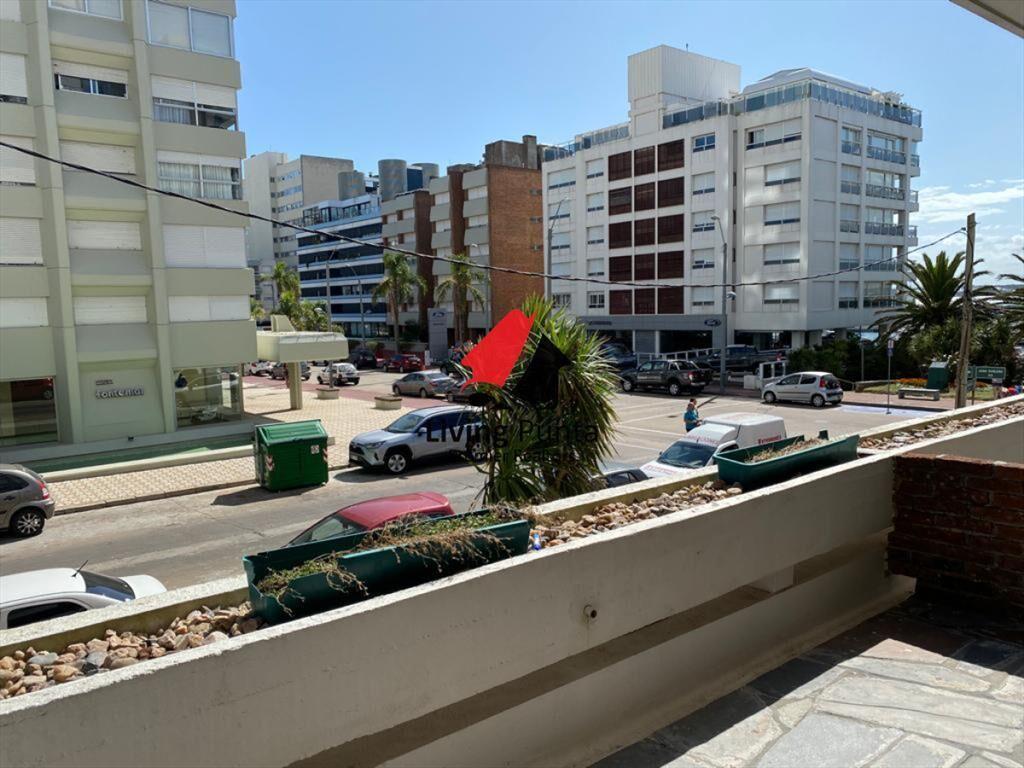 Espectacular apto para rentar en verano en Punta