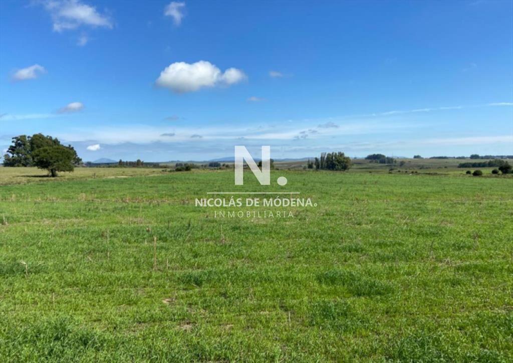 Venta de campo en Laguna del Sauce de 112 has.