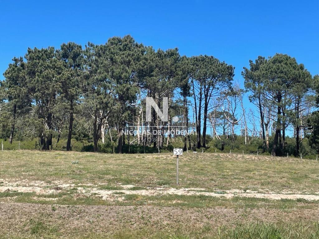 Terreno en Venta en Barrio Privado - Laguna