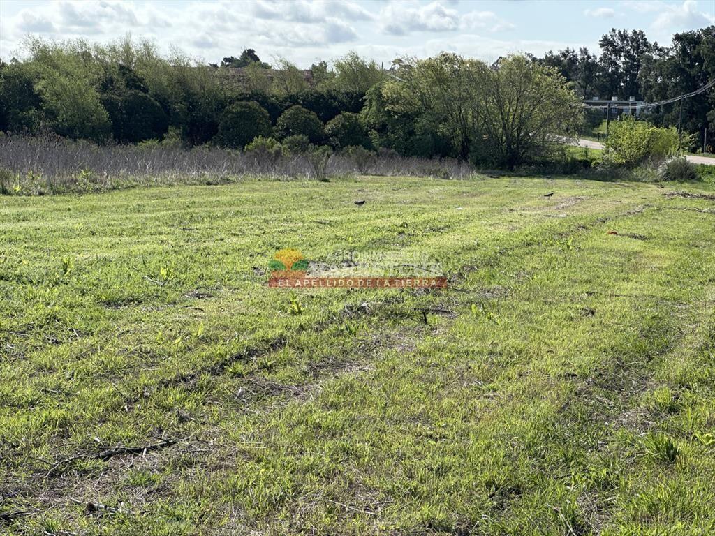 Terrenos en venta en Progreso, fraccionamiento de