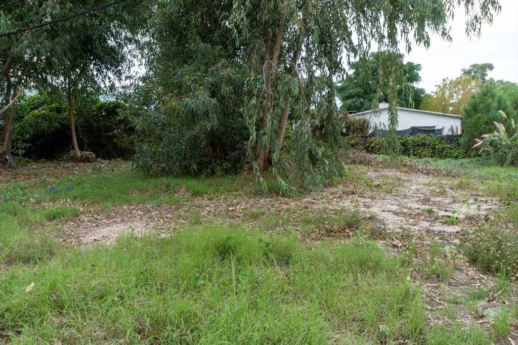 Venta terreno en El Pinar a metros Interbalnearia