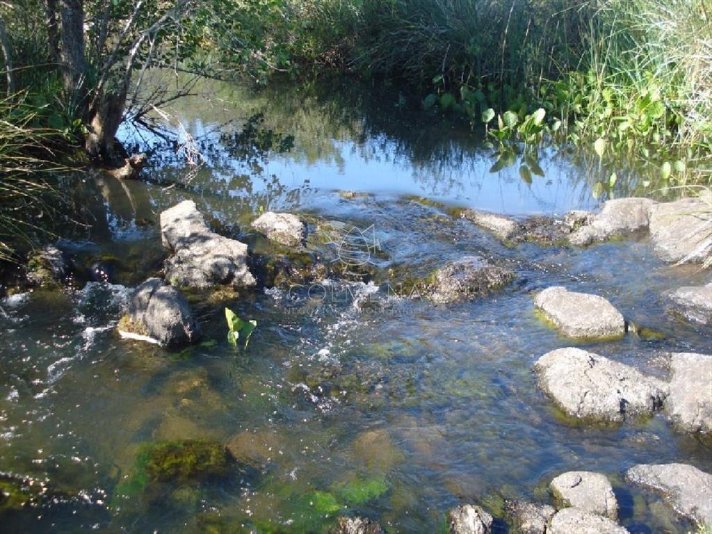 Campo 98 has con 2891 m2 en Carape cuenta con de