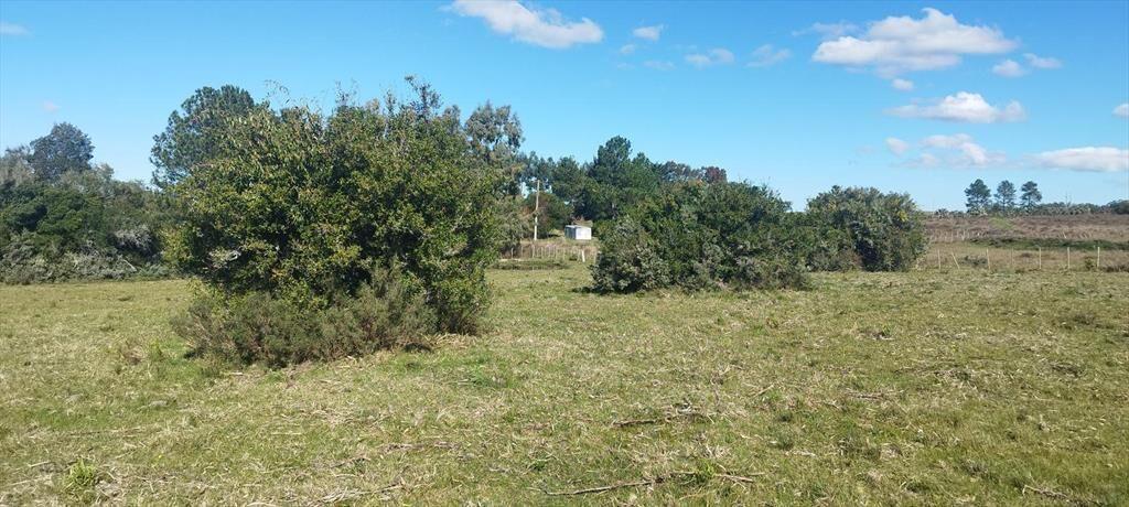Chacra Paso del Tigre - San Carlos - Maldonado