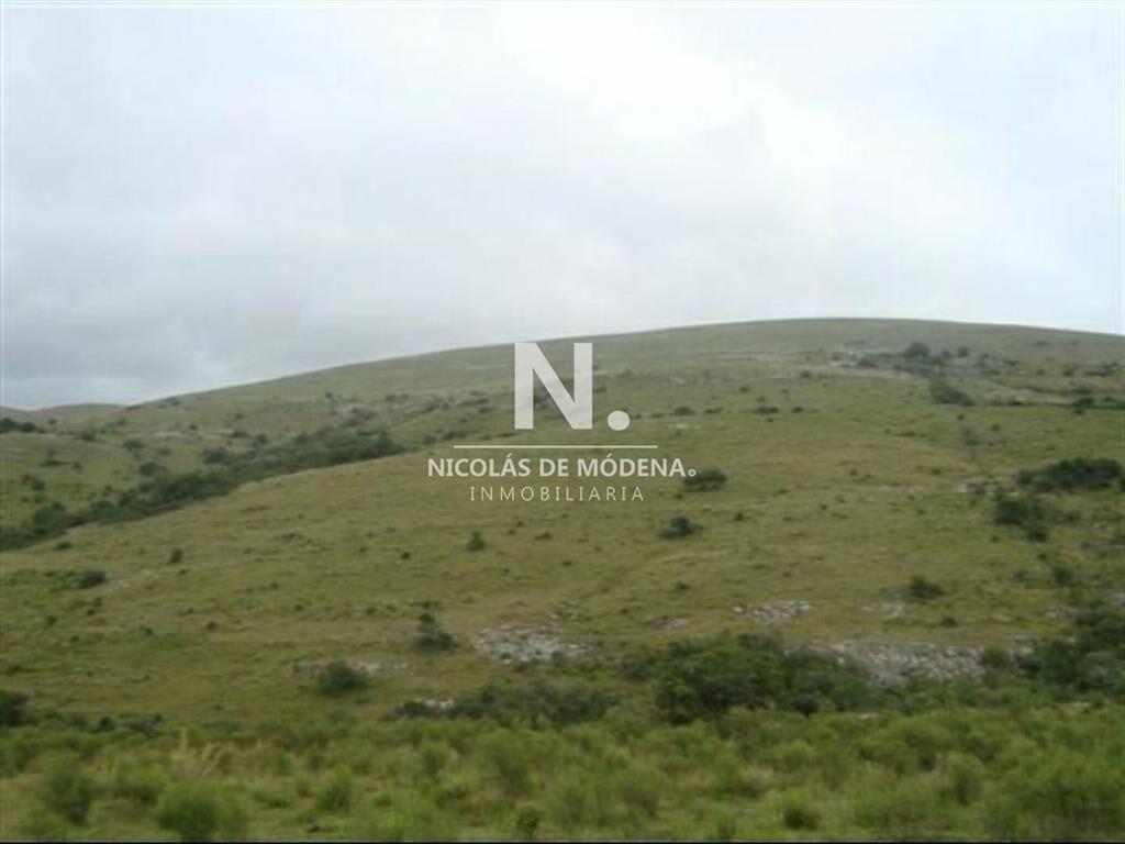Campo de 95hás.