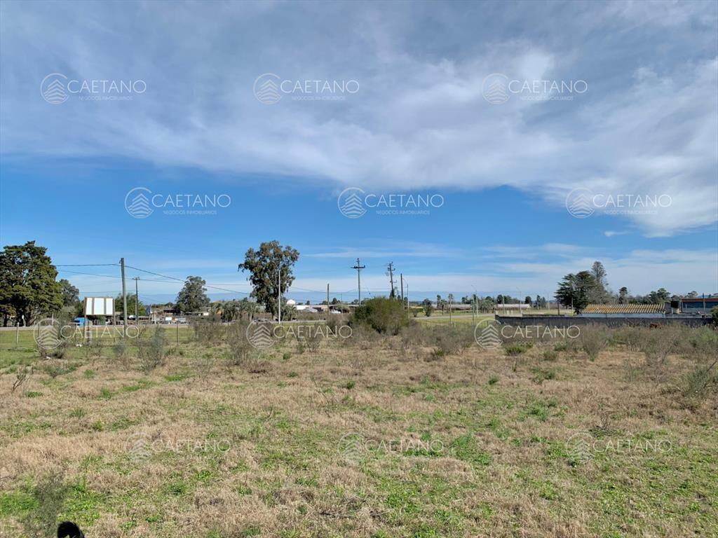 Venta Terreno en Maldonado, San Carlos