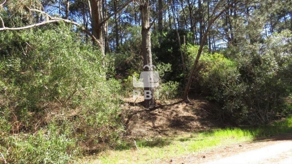 Terreno en venta Club Del Lago - Ref : PBI1151