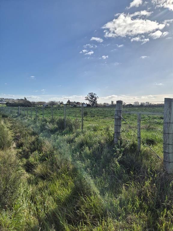 VENTA CHACRA CON CASA SANTA ROSA CANELONES
