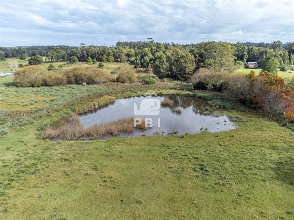 Chacra a la venta en Punta Ballena - Ref :