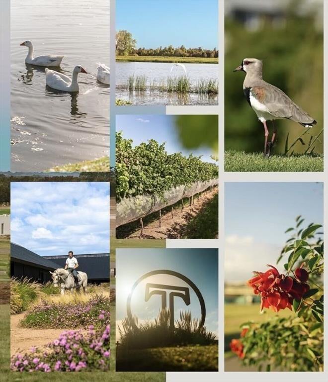 TERRENOS EN LA MEJOR UBICACIÓN ETAPA 1 CAVAS DE LA TAHONA