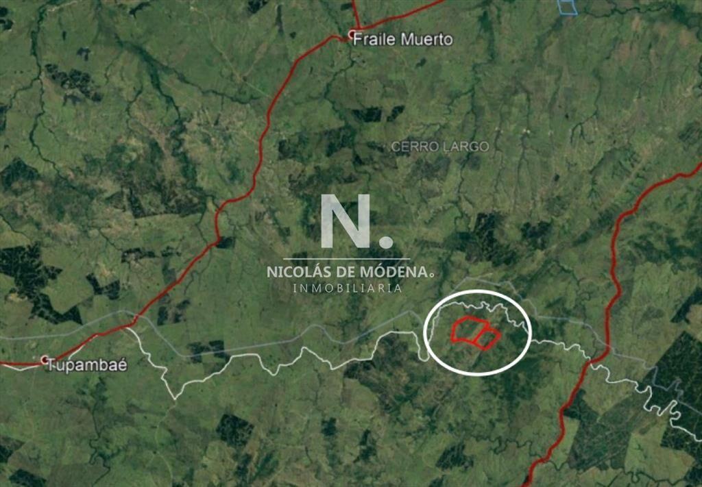 Campo ganadero en venta.
