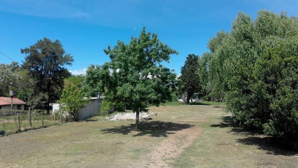 Alquiler gran predio con casa en Barros Blancos